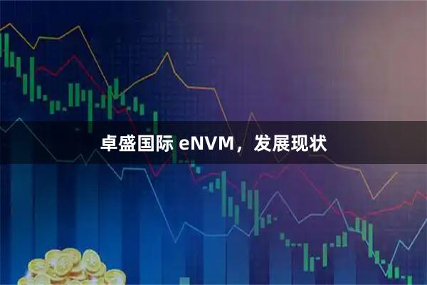 卓盛国际 eNVM，发展现状