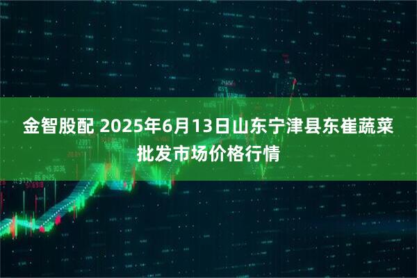 金智股配 2025年6月13日山东宁津县东崔蔬菜批发市场价格行情
