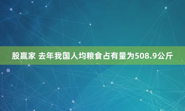 股赢家 去年我国人均粮食占有量为508.9公斤
