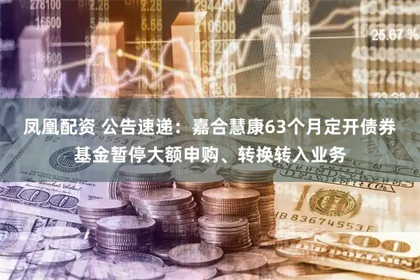 凤凰配资 公告速递：嘉合慧康63个月定开债券基金暂停大额申购、转换转入业务